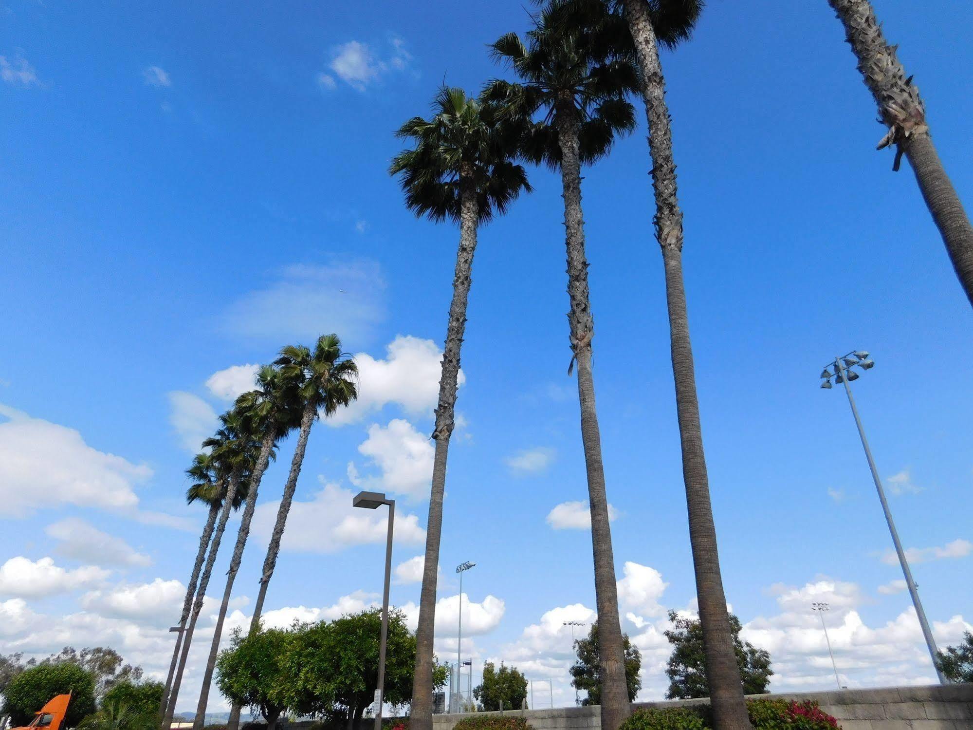 Best Western Plus - Anaheim Orange County Hotel Placentia Dış mekan fotoğraf